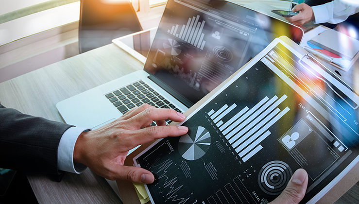 Project Management & Consulting